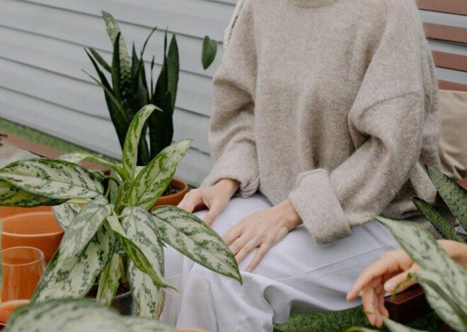 Tips for Creating a Relaxing Home Garden Space for Beginners