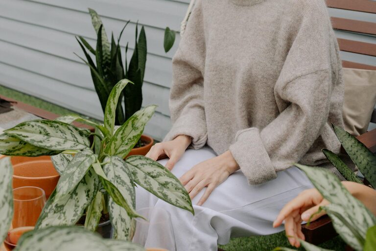 Tips for Creating a Relaxing Home Garden Space for Beginners
