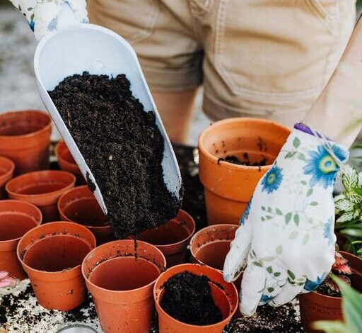 Tips for Creating a Sustainable and Eco-Friendly Home Garden